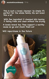 Organic Aloe Vera + Enzymes + Vitamin C Cleanser